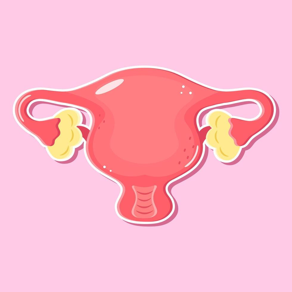 Uterus illustration with ovaries on pink background sticker vector