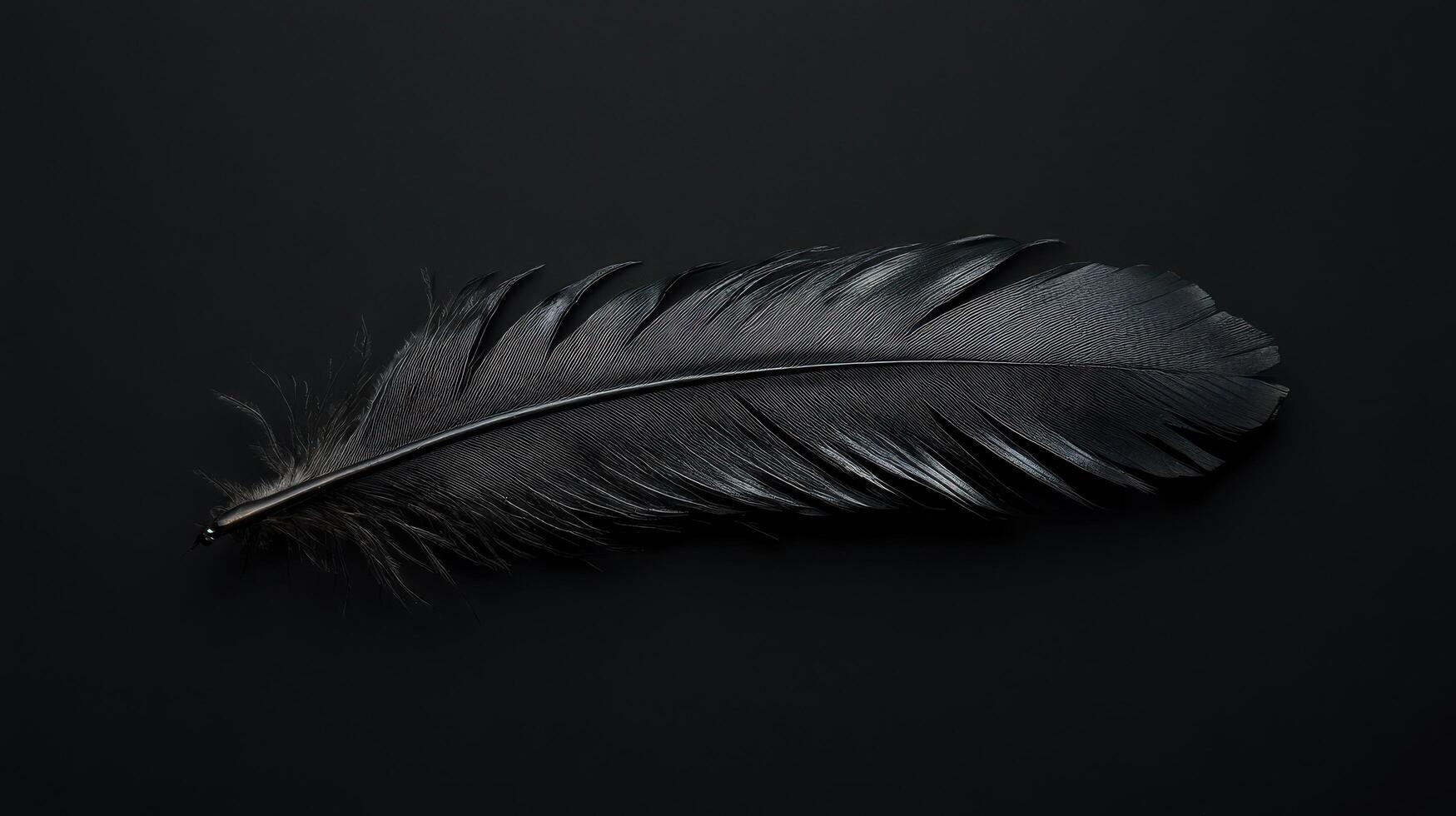 Long black feather resting on a dark surface showcasing intricate details and textures photo