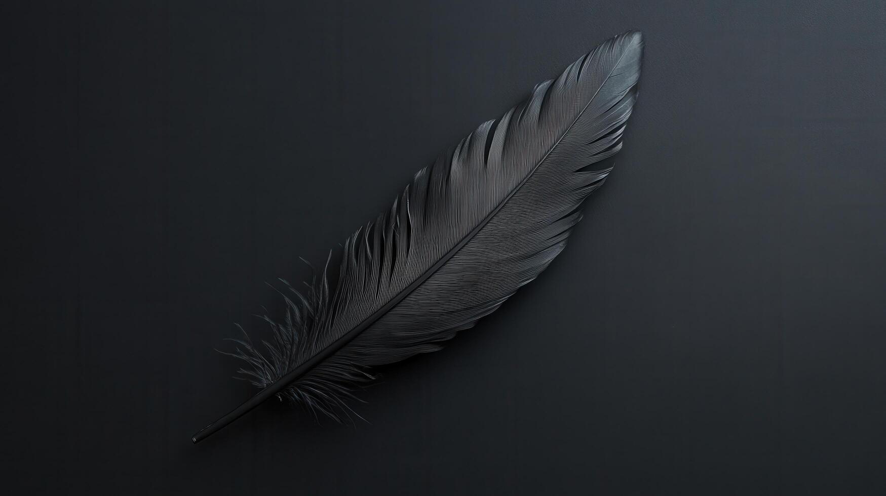 Majestic black feather resting on a dark surface highlighting its intricate details and texture photo
