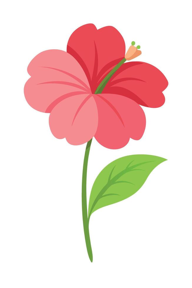 Vibrant Pink Hibiscus Flower, Single Blossom, Green Leaf, Nature Illustration vector