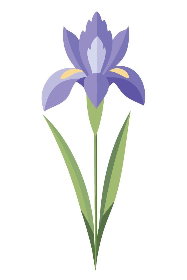 Purple Iris Flower Botanical Illustration, Nature Graphic Design vector