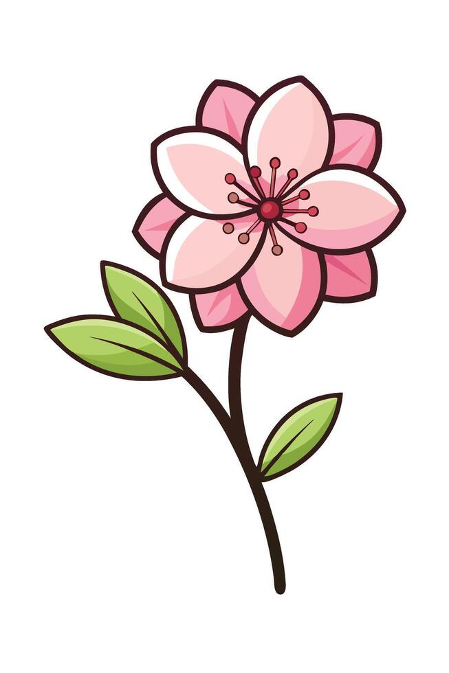 Pink Blossom Flower, Spring Bloom, Nature Illustration, Botanical Art vector
