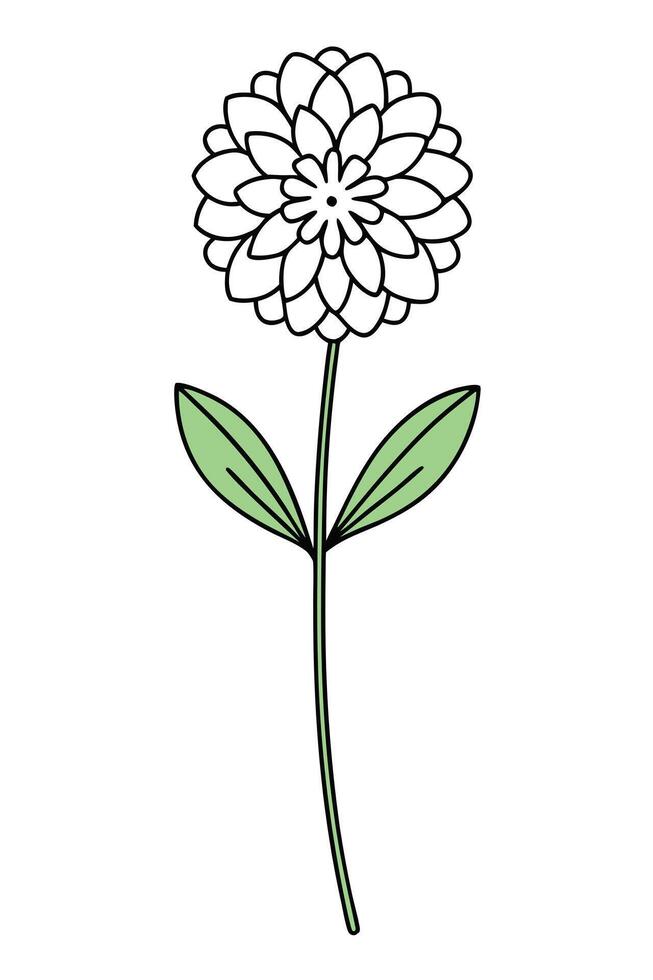 Single White Dahlia Flower with Green Leaves Botanical Illustration vector