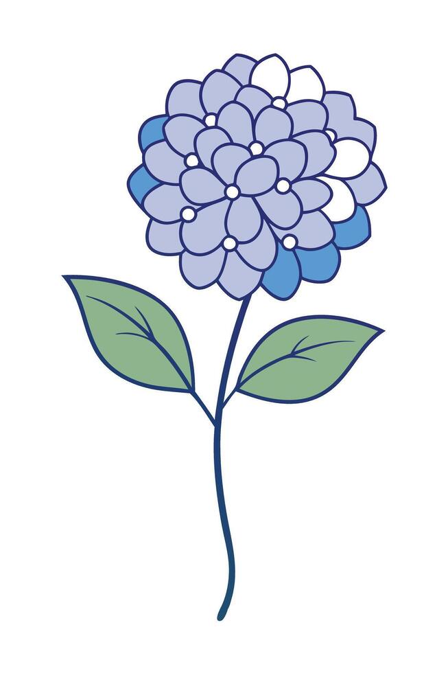 Elegant Blue Hydrangea Flower Blossom Illustration Design vector