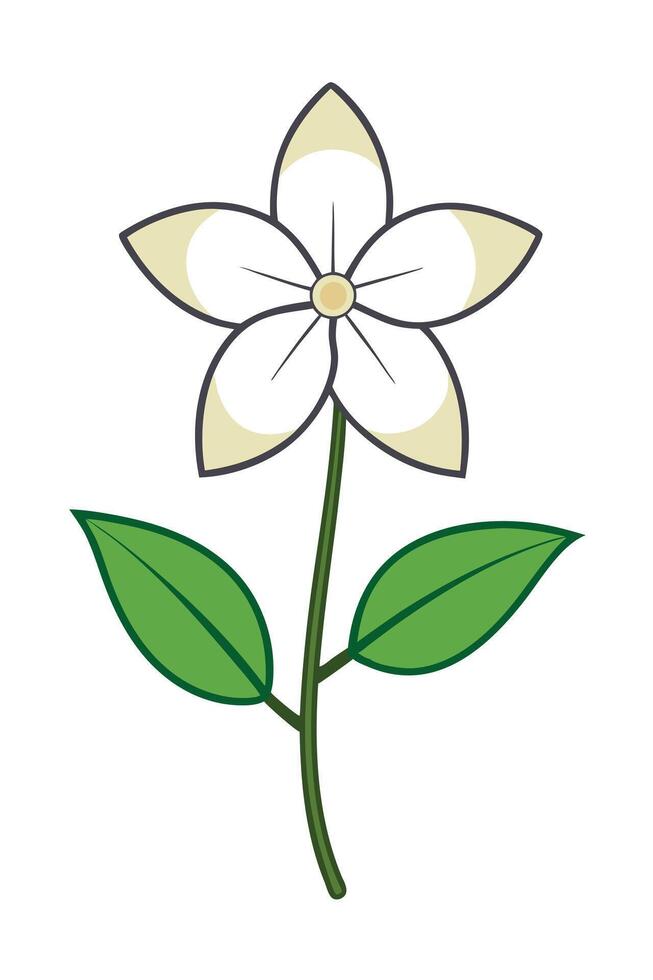 Simple White Flower Illustration Botanical Design Element vector