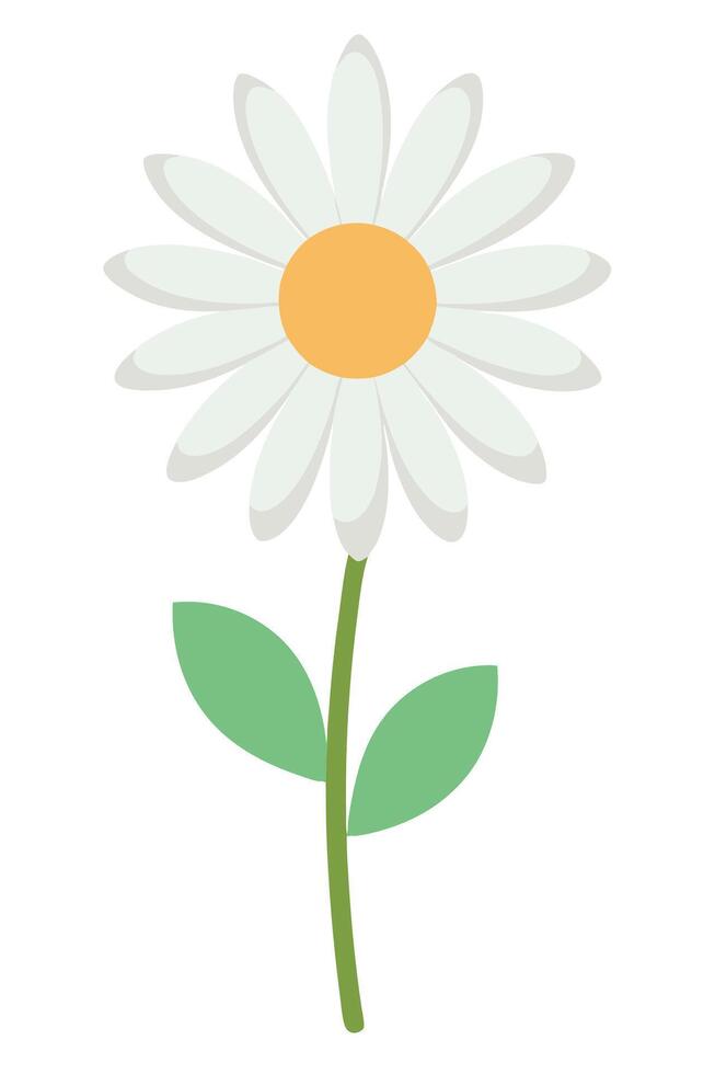 Simple Daisy Flower Illustration Nature, Bloom, White Petals, Yellow Center vector