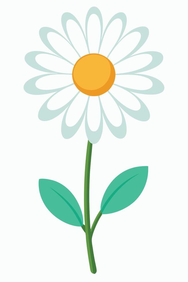Daisy Flower Illustration Simple, White Petals, Yellow Center, Green Leaves, Stem, Botanical Art vector