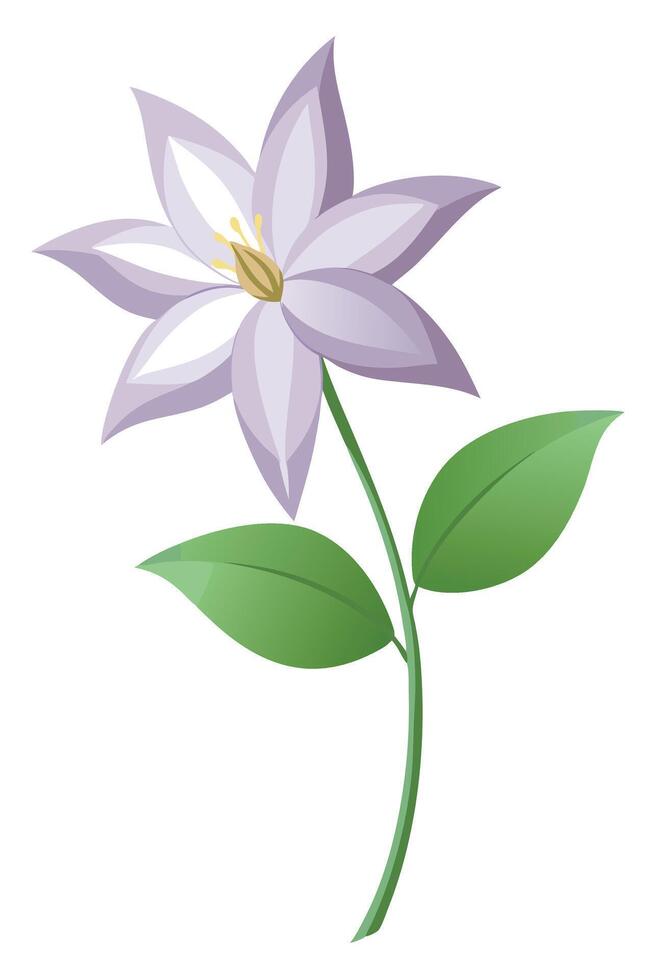 Elegant Lavender Flower Blossom, Green Leaves, Single Stem, Nature vector
