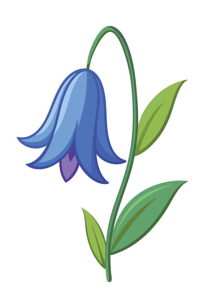 Bluebell Flower Illustration Delicate, Bell Shaped, Spring Bloom vector