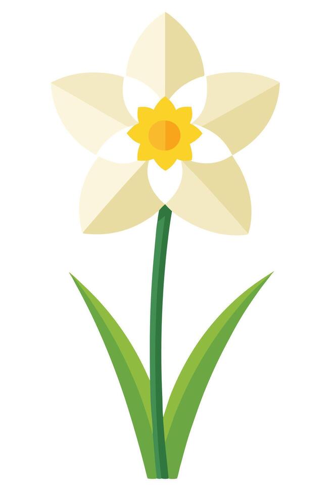 Single Daffodil Flower Bloom, Springtime Plant, Yellow Center vector