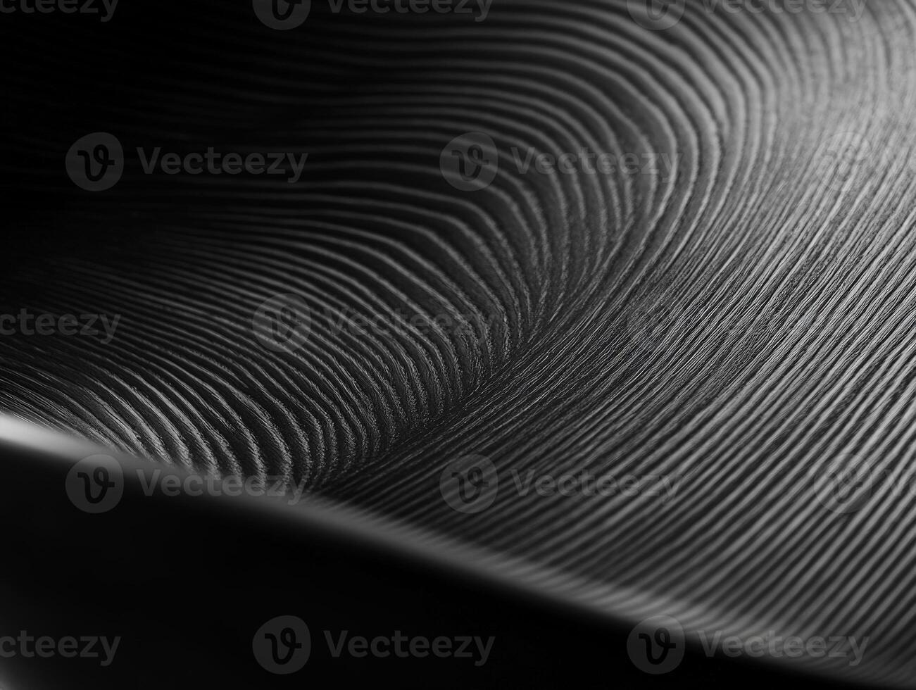 Wood Texture Abstract. photo