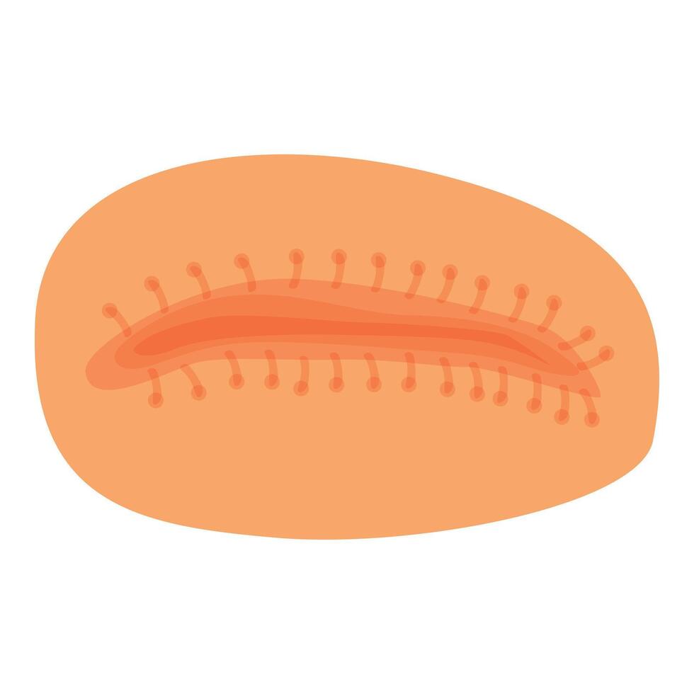 Surgical suturing representing post operative wound healing vector