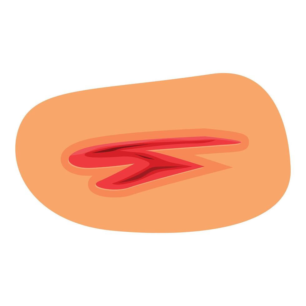Bleeding wound showing skin damage and blood vector