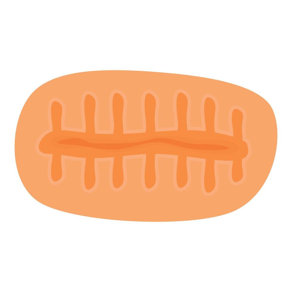 Mitochondrion providing energy to cells through cellular respiration vector