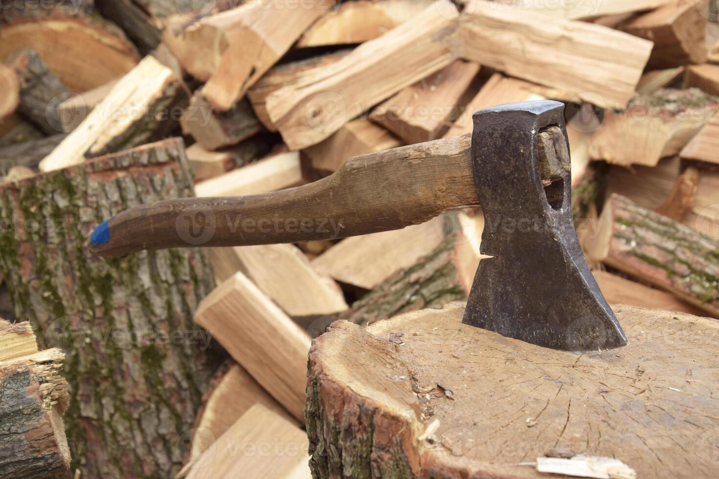 Lots of chopped firewood for the winter photo