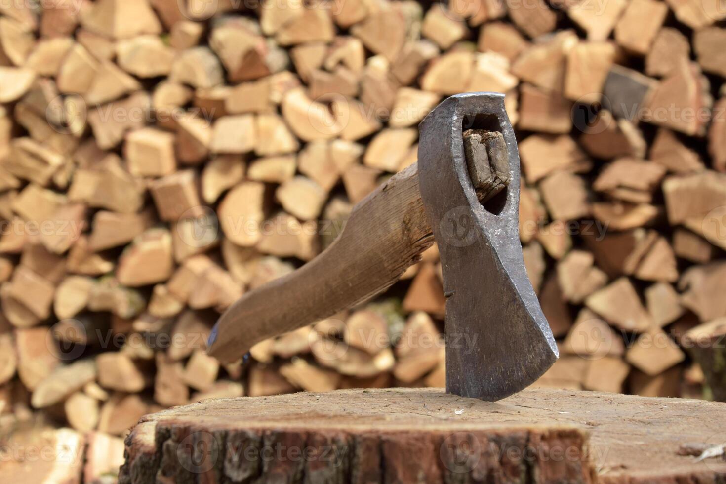 Chopped firewood for the winter. photo