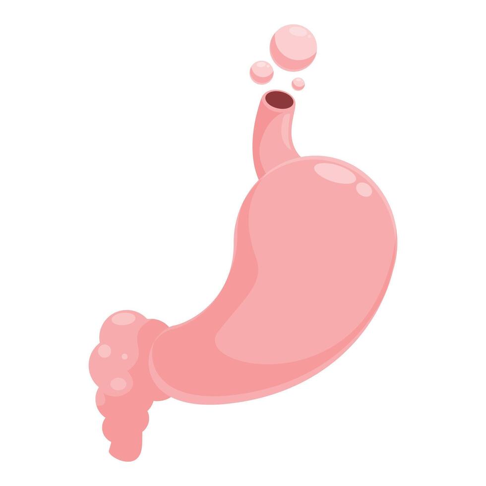 Healthy human stomach releasing gas bubbles, digestive system anatomy vector