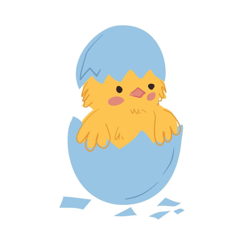 Chick Hatching from Blue Egg vector