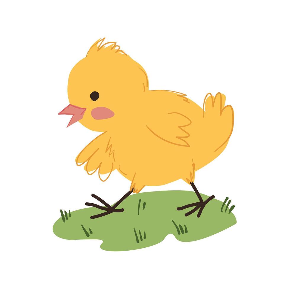 Cute Cartoon Chick Walking on Grass vector
