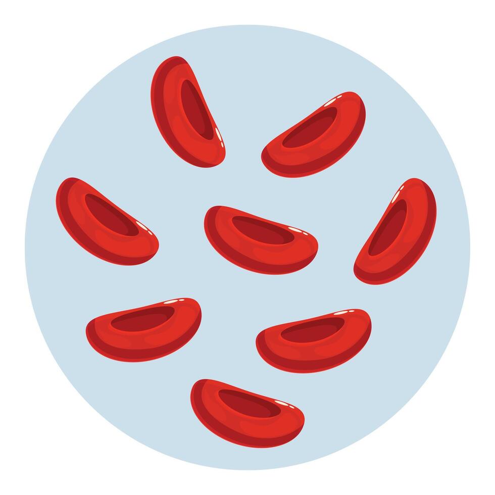 Red blood cells flowing in light blue circle representing vein or artery vector