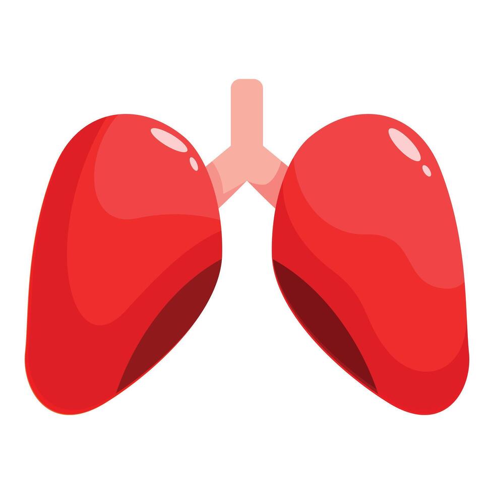 Healthy lungs maintaining respiratory function representing wellness and healthcare vector