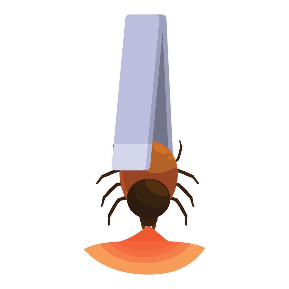 Tweezers removing engorged tick from skin after bite vector