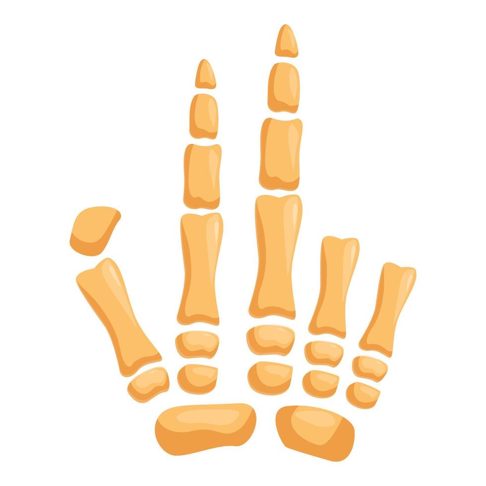 Skeleton hand pointing up with index finger extended vector