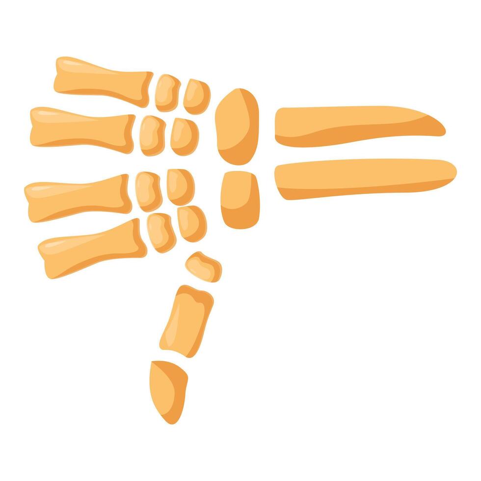 Skeleton hand showing thumbs down gesture, disapproval sign vector