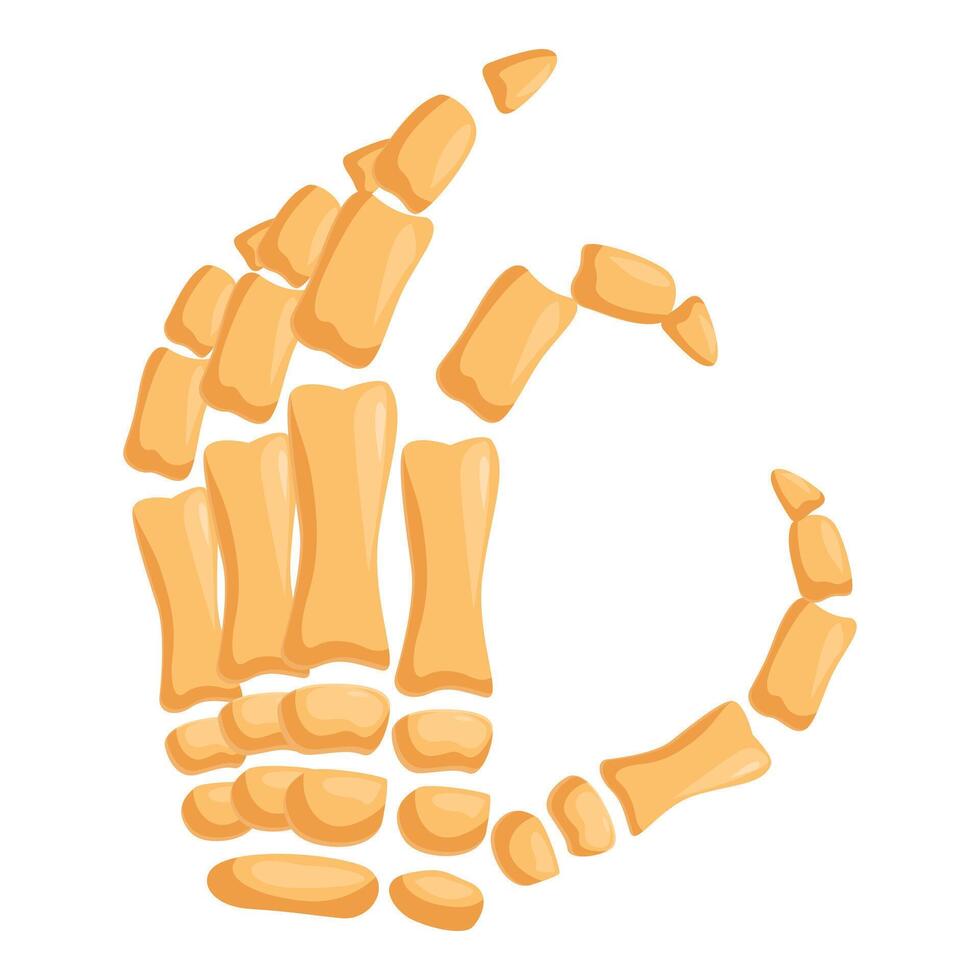 Skeleton hand making ok sign with fingers, phalanges and bones vector