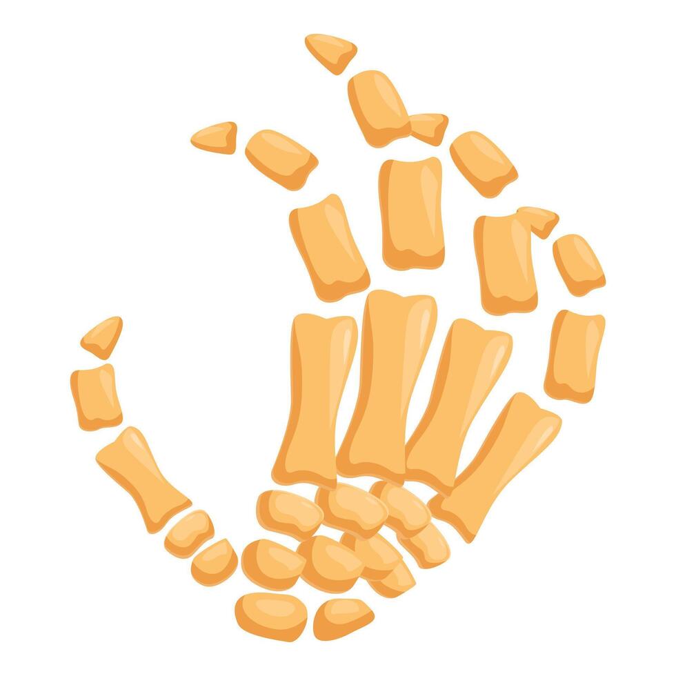 Skeleton hand making ok sign with bone fingers and wrist bones vector