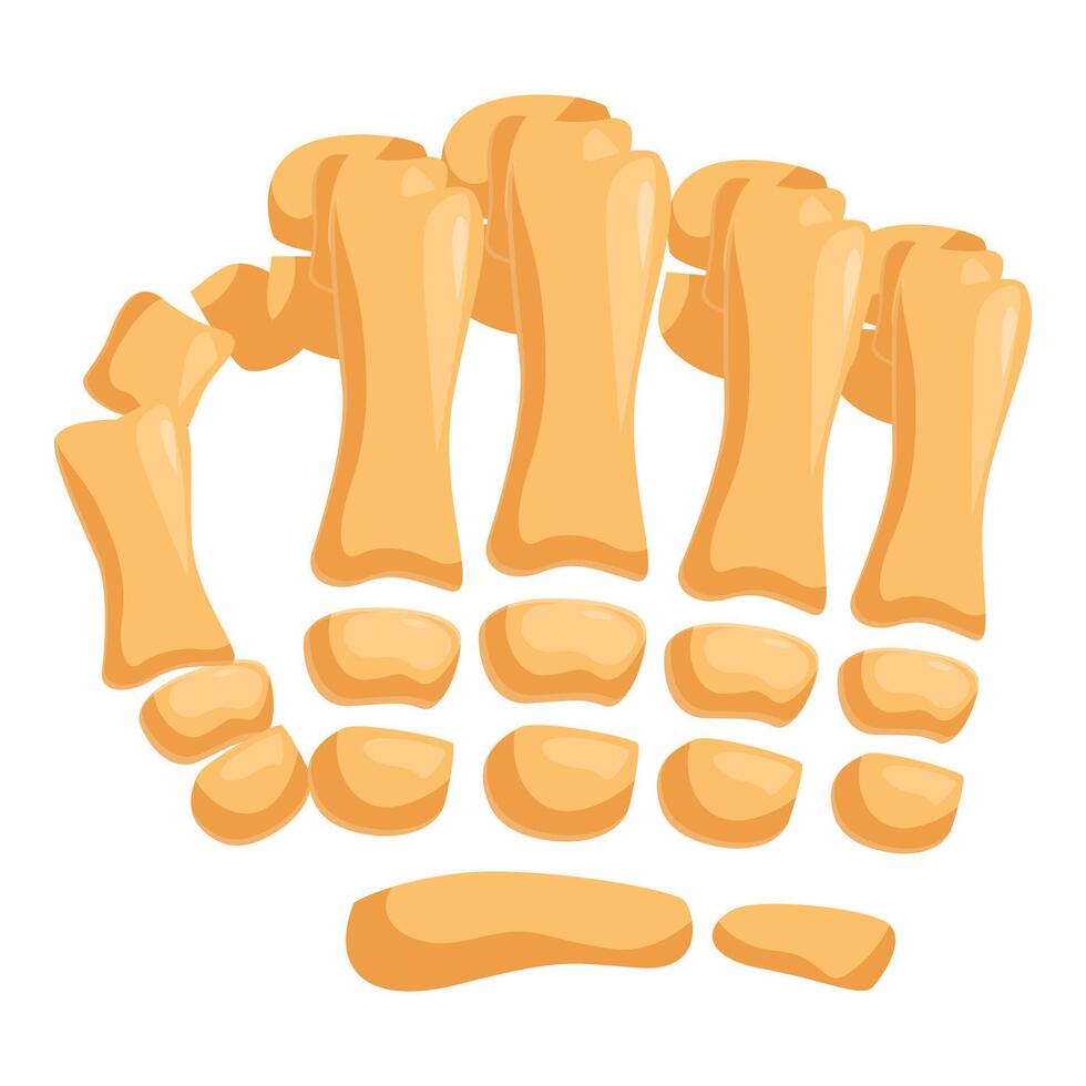Foot bones showing metatarsals, tarsals, and phalanges vector