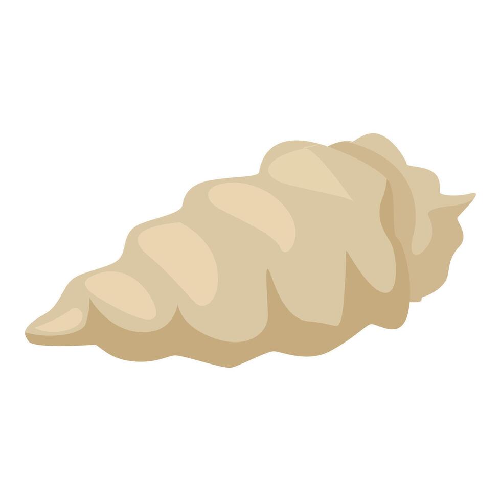 Beige seashell lying on white background representing marine life vector