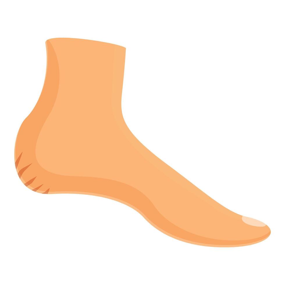 Cracked heel showing dry skin requiring moisturizer vector