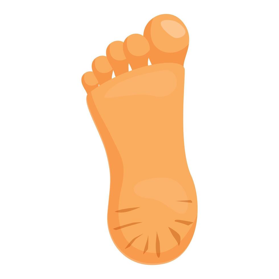 Right foot sole showing lines and toes in orange color vector