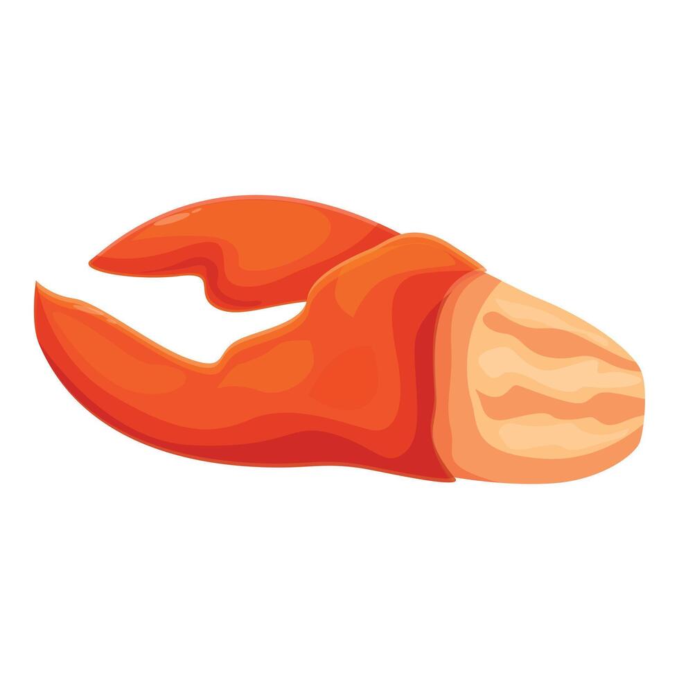 Cooked lobster claw showing white meat inside on white background vector