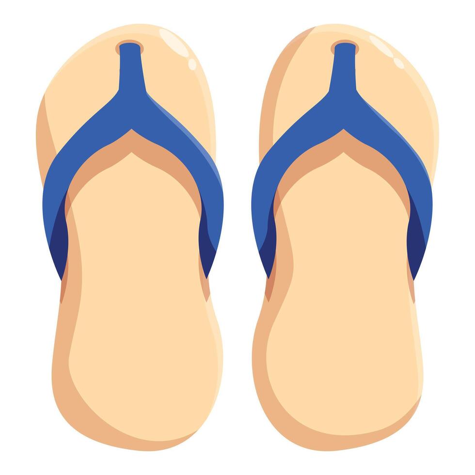 Pair of beige and blue flip flops isolated on white background vector
