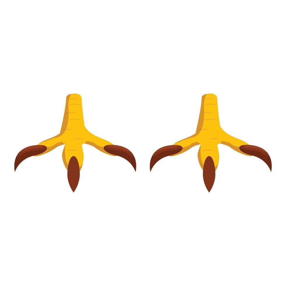 Sharp bird claws holding tightly on branch vector