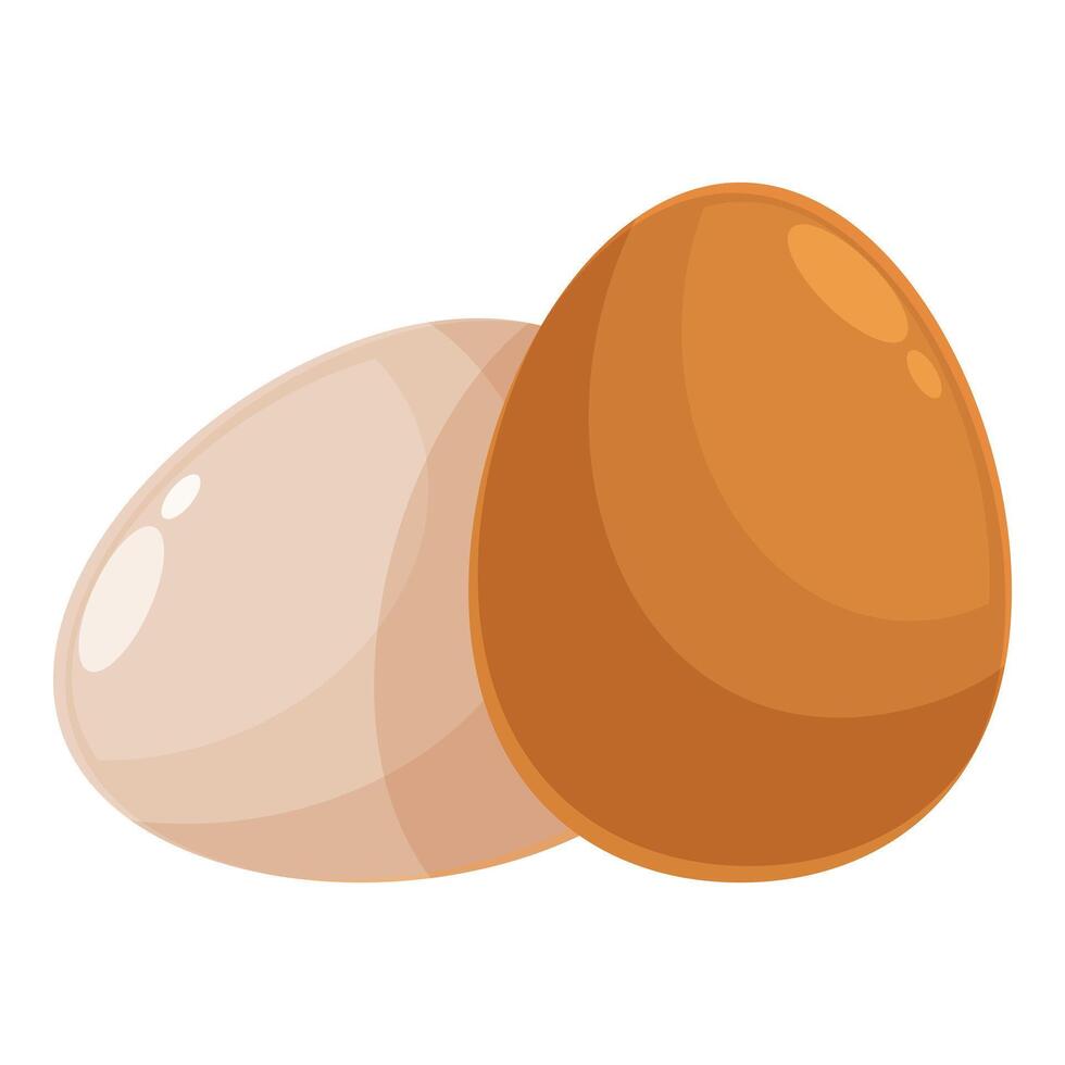 Two chicken eggs resting on white background vector