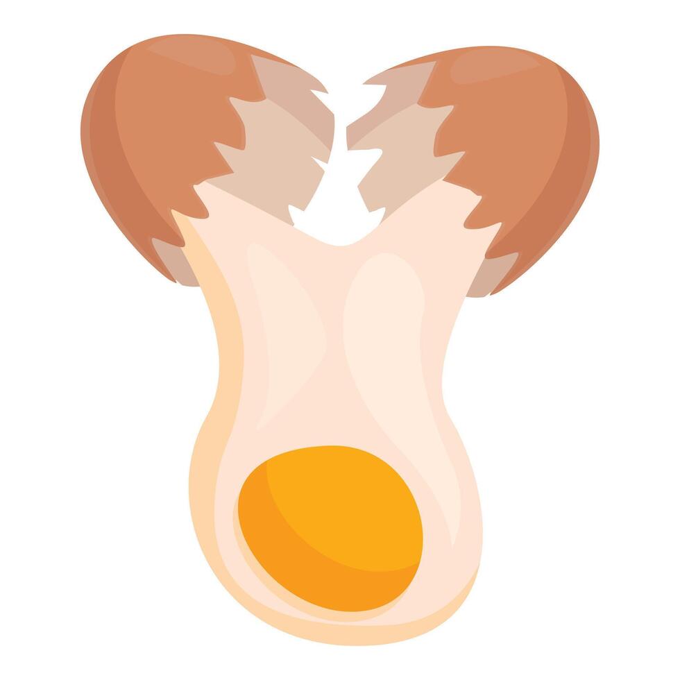 Broken brown egg showing yolk and egg white vector