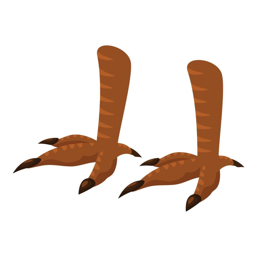 Chicken feet standing on white background vector