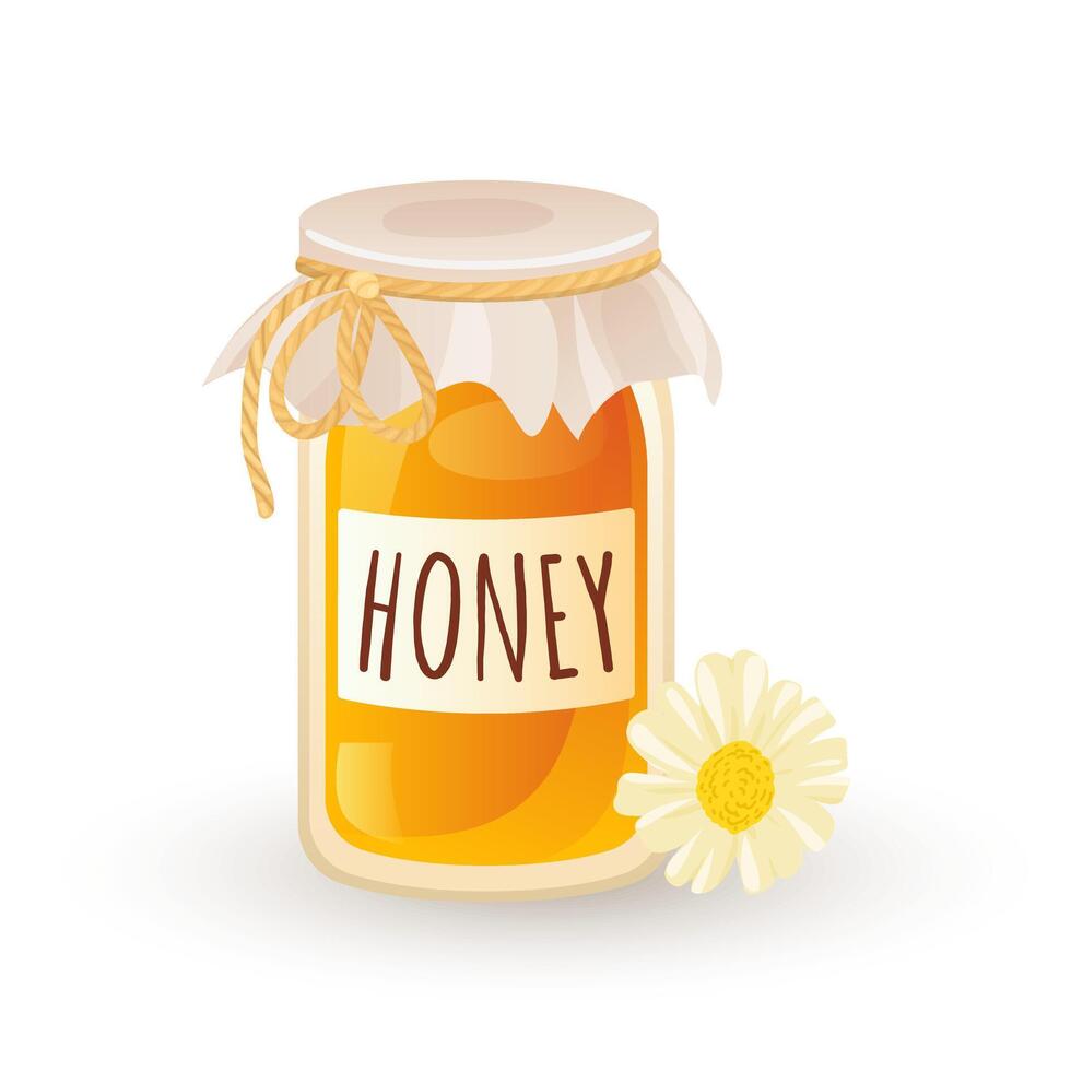 Honey jar with chamomile in flat design. Apiculture product in glasses pot. illustration isolated. vector