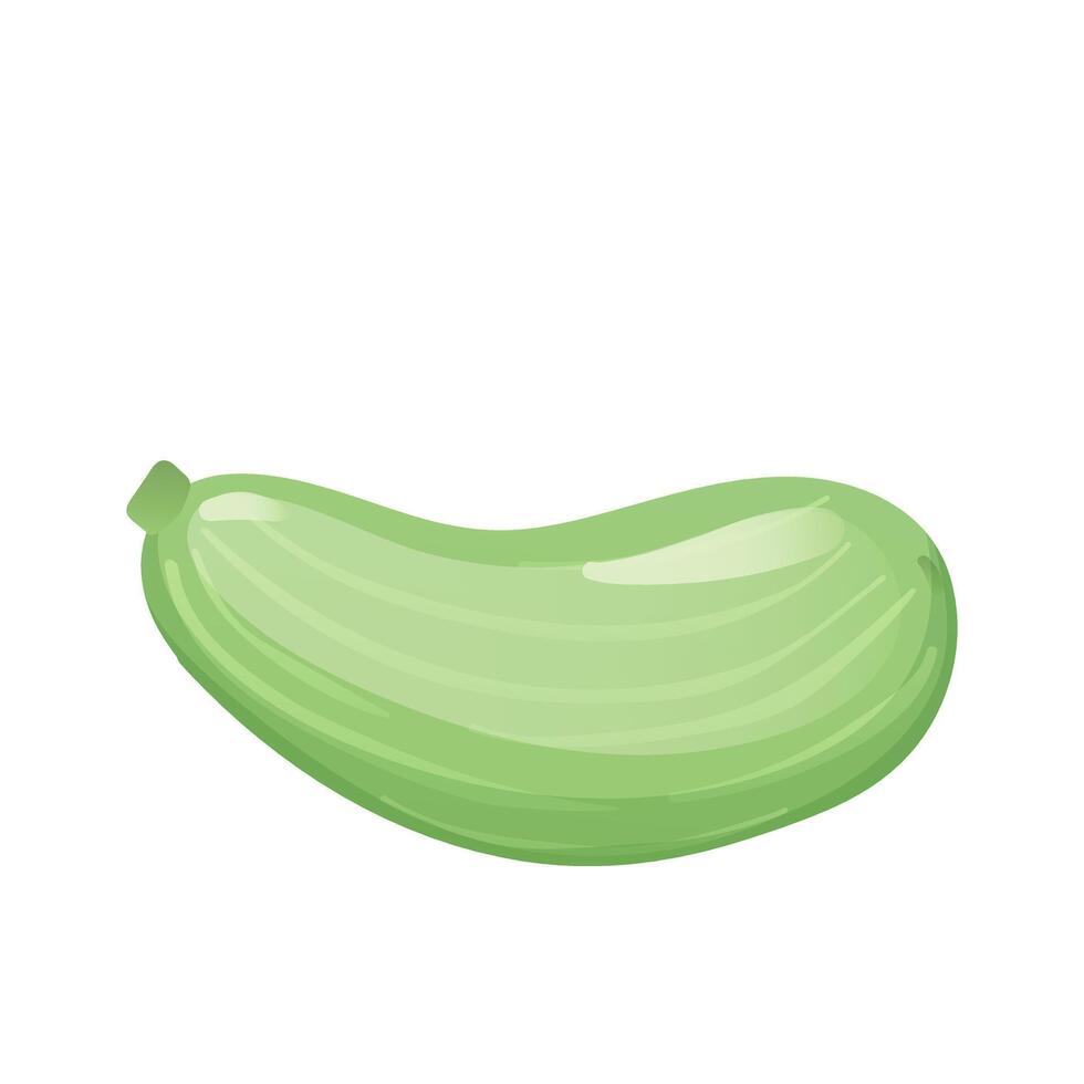 Green zucchini in flat design. Courgette vegetable, vegetarian dieting. illustration isolated. vector