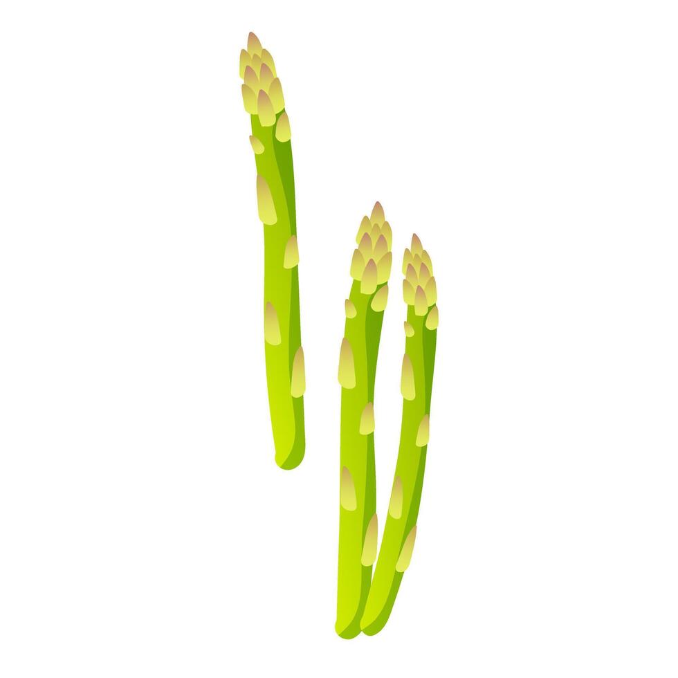Green asparagus stems in flat design. Natural organic vegetable bunch. illustration isolated. vector
