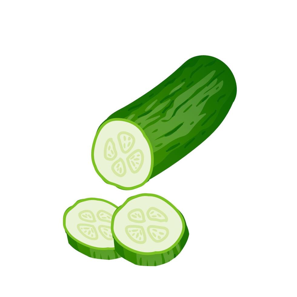 Green cucumber with slices in flat design. Natural organic vegetable. illustration isolated. vector