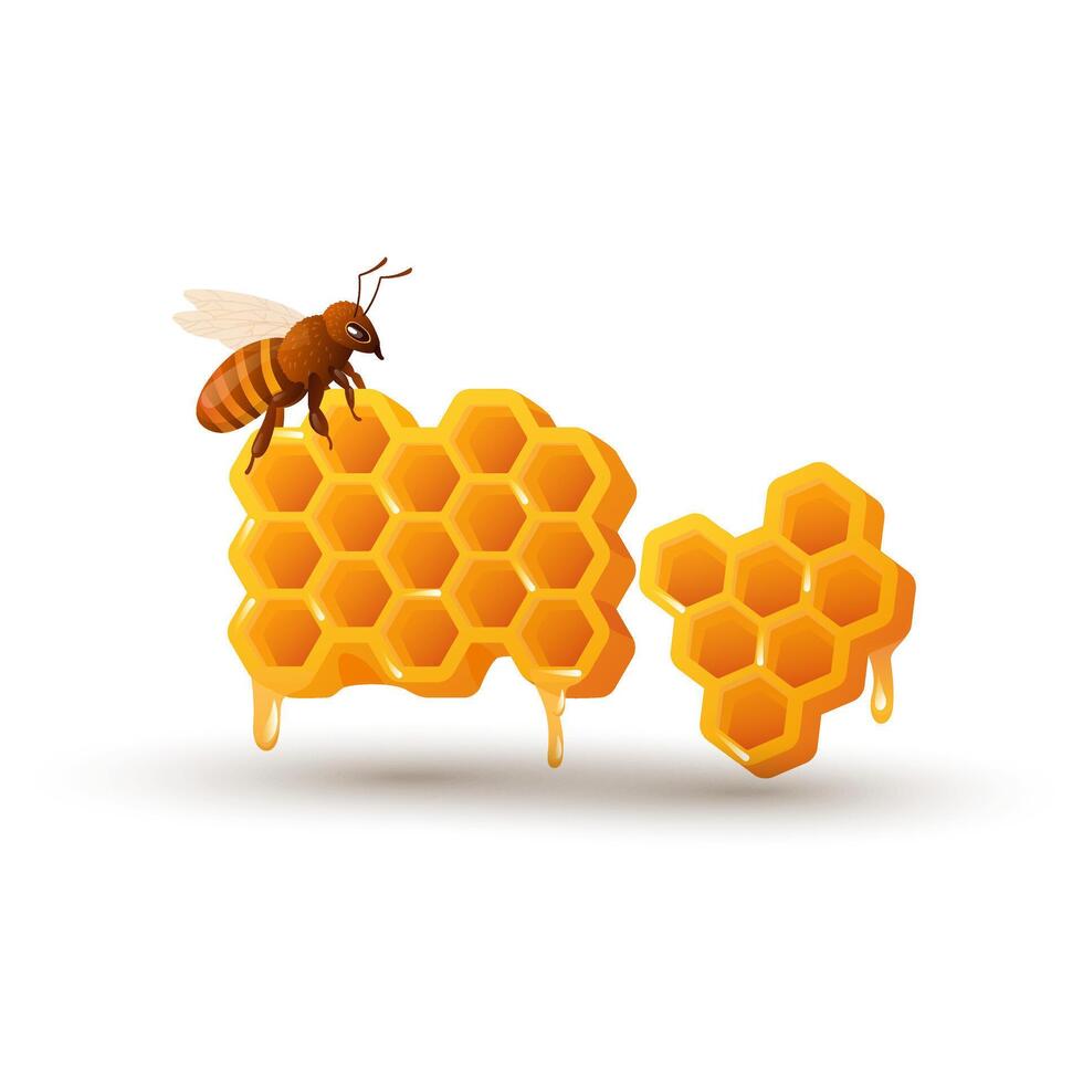 Bee with honey comb in flat design. Honeycomb and insect, apiculture product. illustration isolated. vector