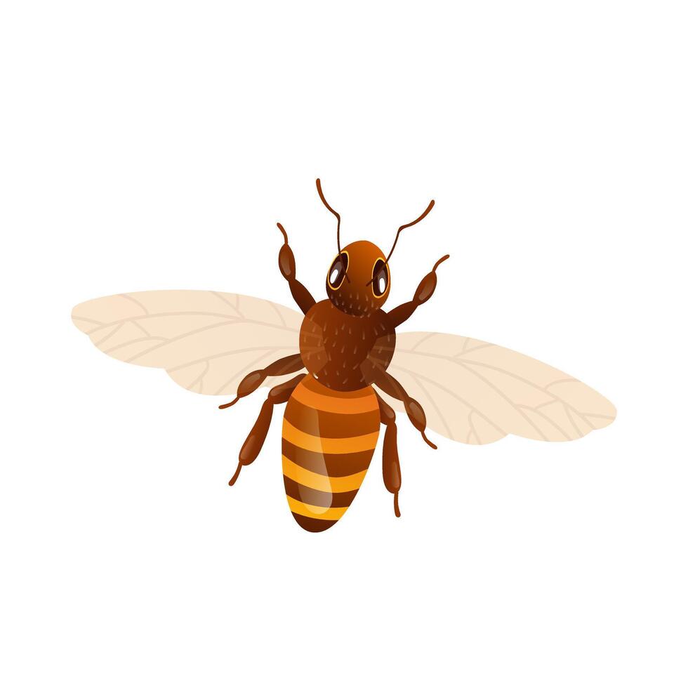 Honey bee in flat design. Closeup apiculture working insect with wings. illustration isolated. vector