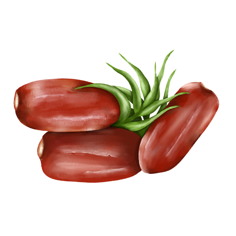 Fresh dates with green leaves ideal for health blogs and culinary uses. png