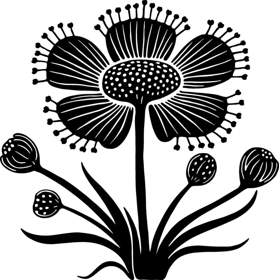 Carnivorous Sundew Plant Silhouette vector
