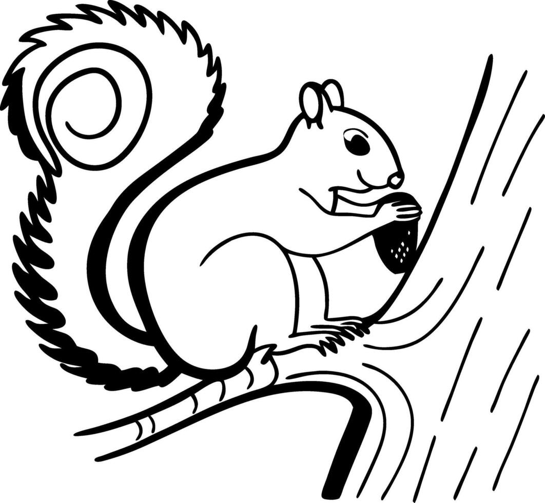 Squirrel Holding Nut on Tree Branch Art for Nature Illustration vector