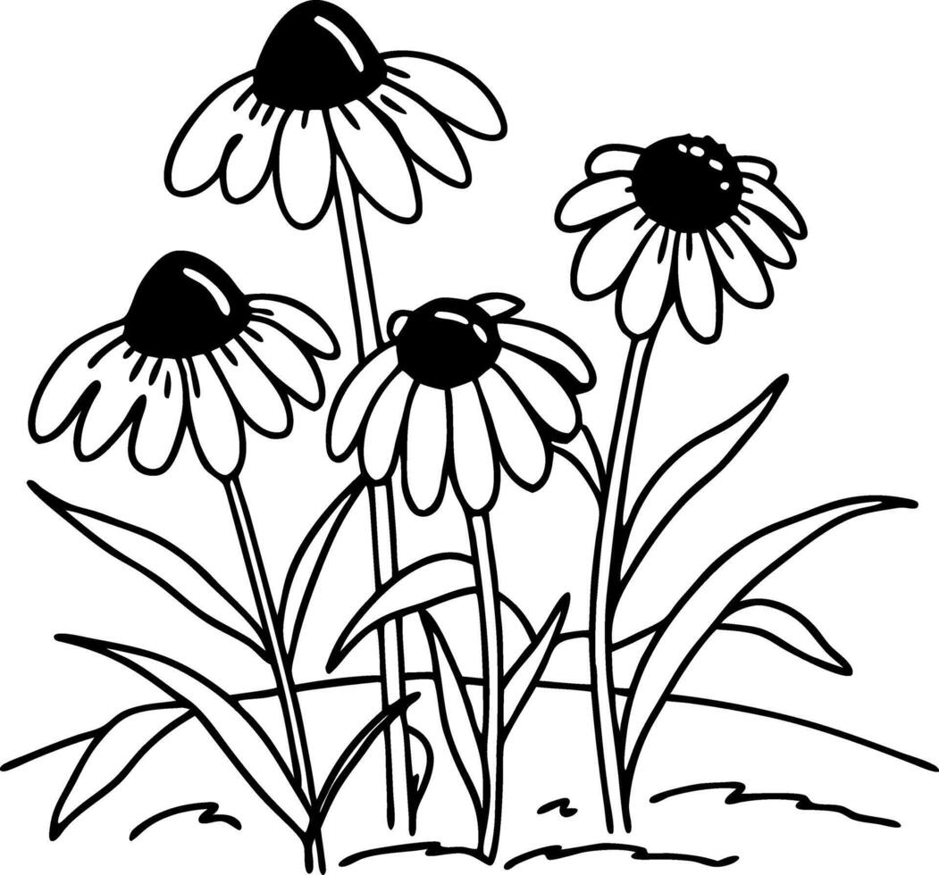 Black and White Echinacea Flower Illustration for Botanical Design vector